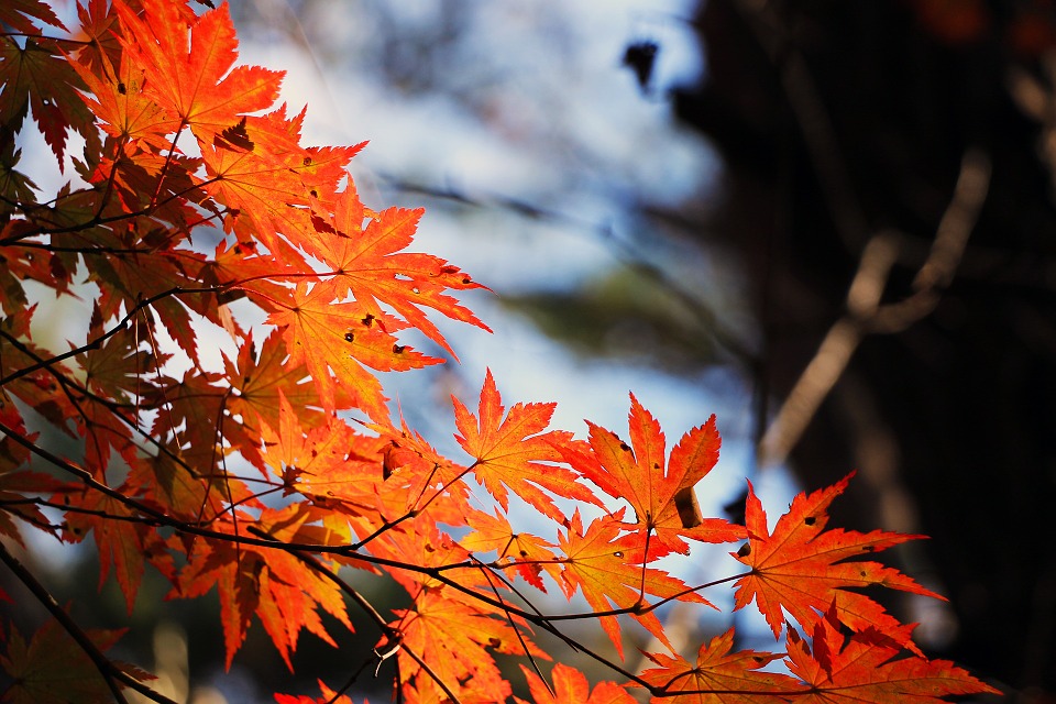 Online Selling Tips for Fall