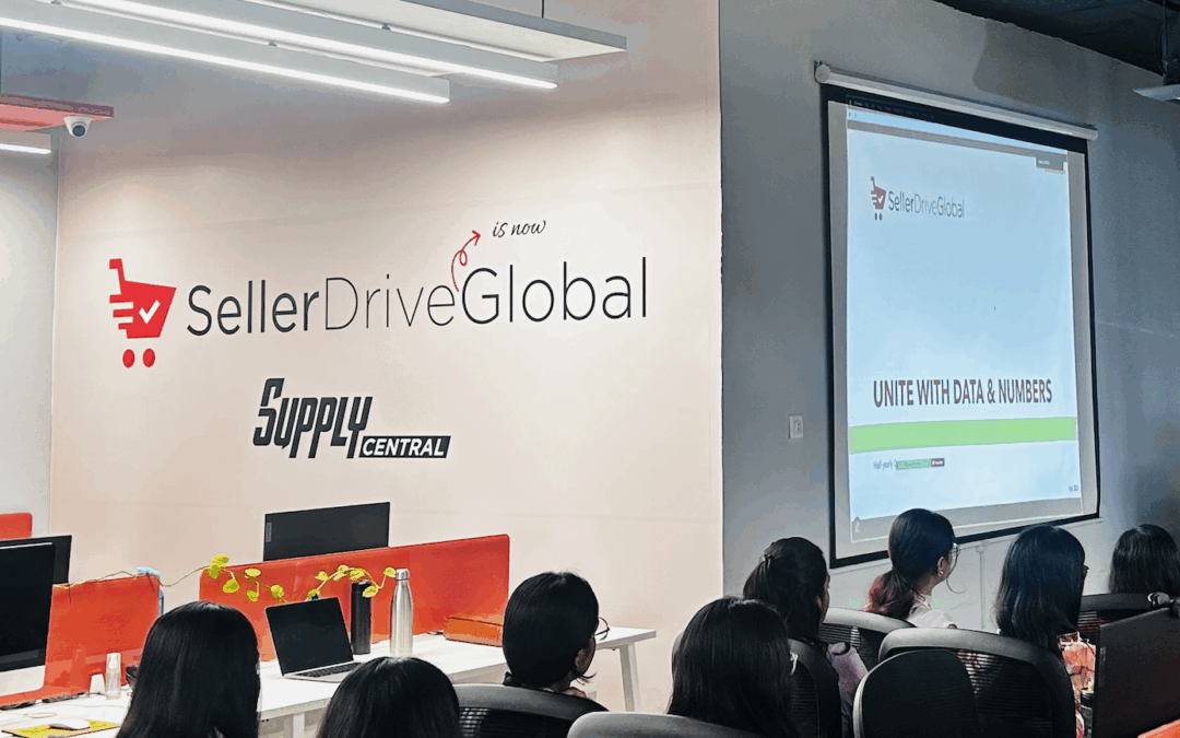 Seller Drive Global – Boosting Growth and Profitability